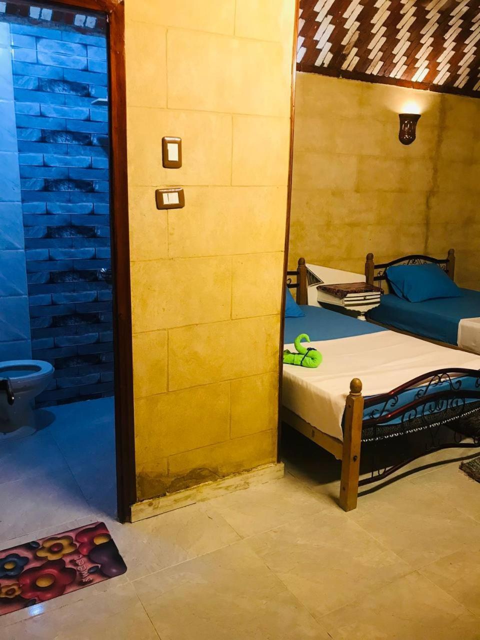 Labib Guest House Aswan Exterior photo